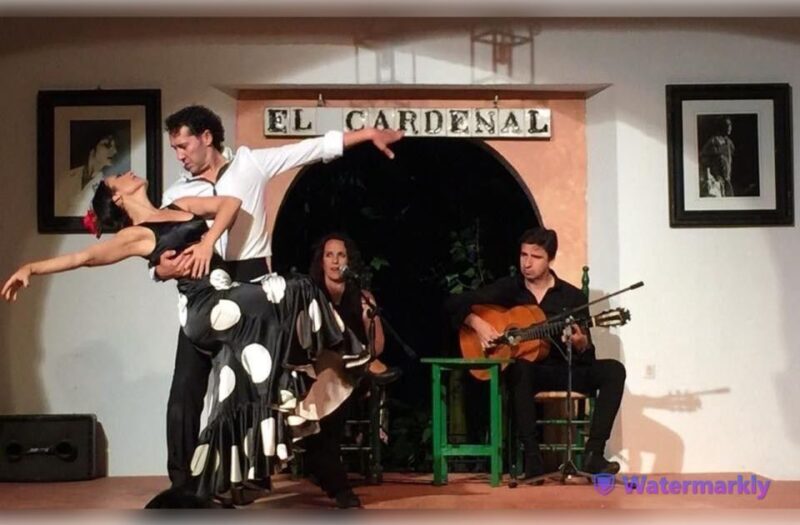 Córdoba: Flamenco Show Ticket with Drinks - Who This Experience Is Best For