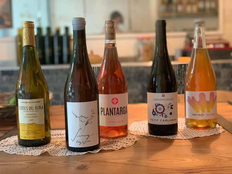 Cordoba: From Vine to Table: A Spanish Wine Experience - The Wine Tasting: Stories and Sips