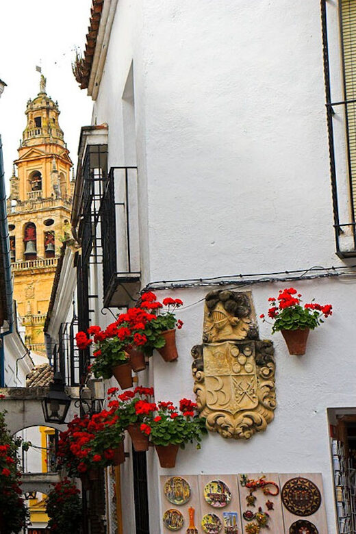Cordoba Guided Day Trip from Seville - Key Points