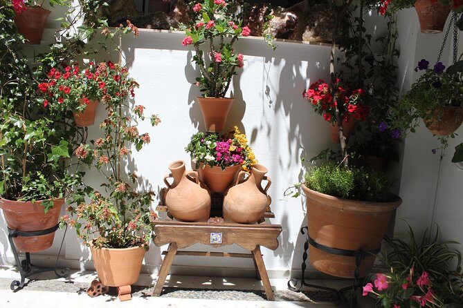 Cordoba Guided Tour with Mosque /Cathedral from Seville - Who Would Love This Tour?