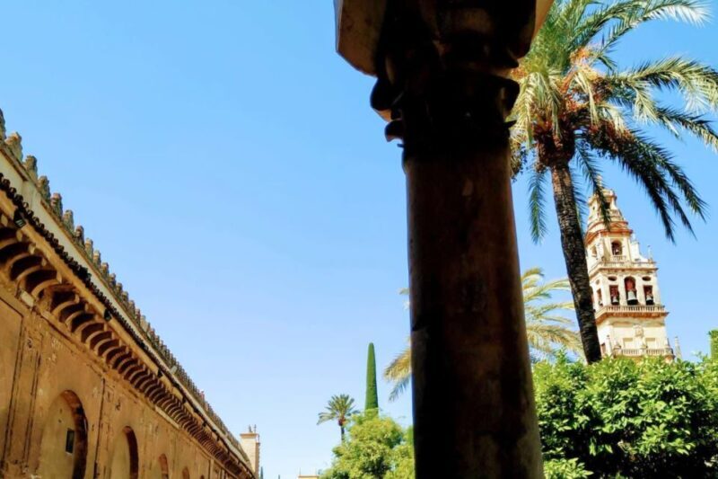 Cordoba Highlights Full-Day Tour from Granada - Key Points