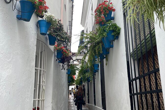 Cordoba Highlights Private Walking Tour - Key Points