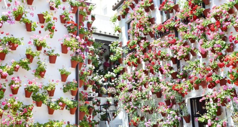 Córdoba Highlights Walking Tour - A Perfect Introduction to Córdoba’s Main Attractions