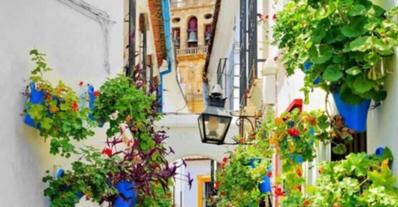 Cordoba: Historical Monuments of Cordoba City Walking Tour - An In-Depth Look at the Tour Experience