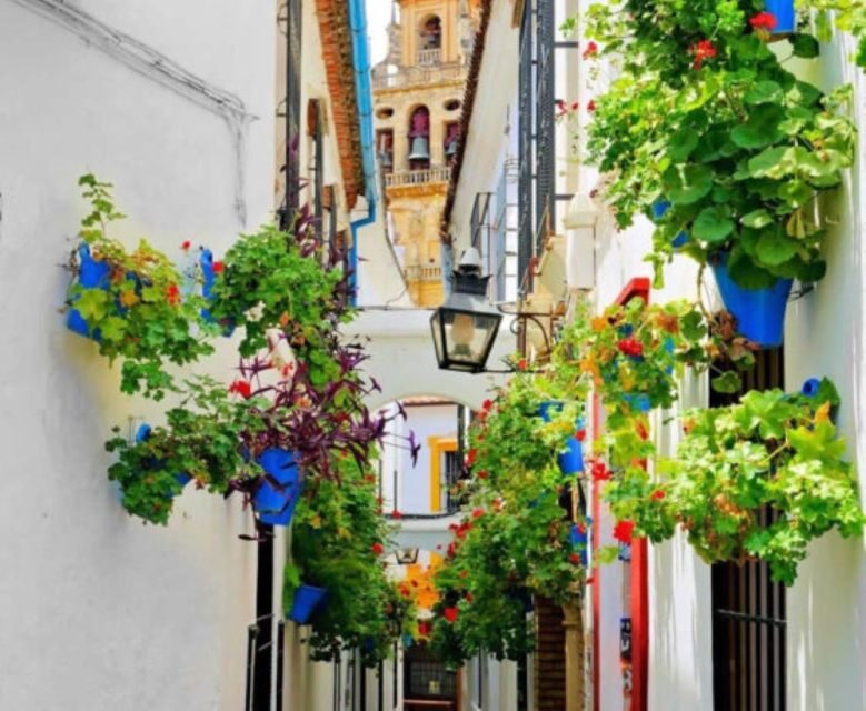 Cordoba: Historical Monuments of Cordoba City Walking Tour - Final Thoughts