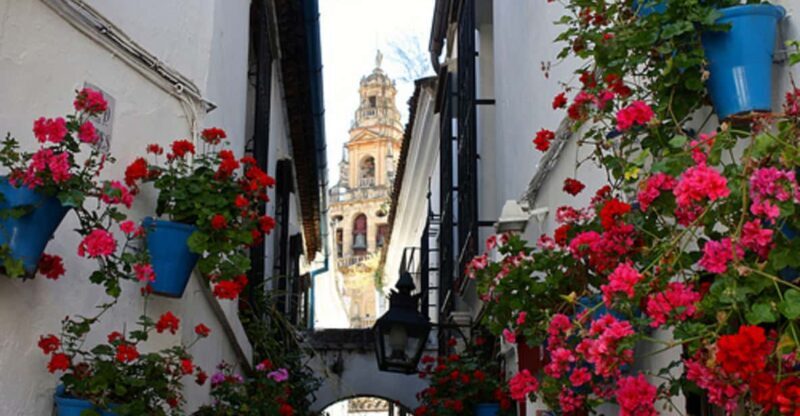 Córdoba: Mosque-Cathedral of Cordoba Private Walking Tour - The Sum Up: Who Is This Tour Best For?