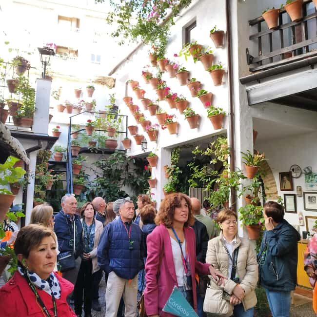 Córdoba Patio Competition: A unique experience of flowers and tradition. - Key Points
