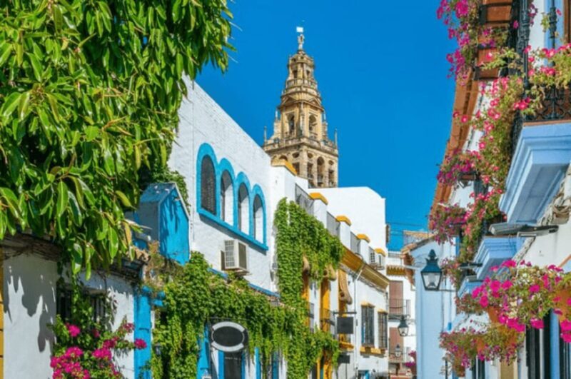 Cordoba Private Daytrip from Sevilla by train - Who Would Love This Tour?