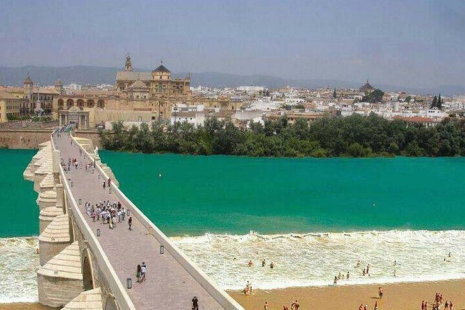 Cordoba private tour from Granada for up to 8 persons including the great Mosque - Who Will Love This Tour?