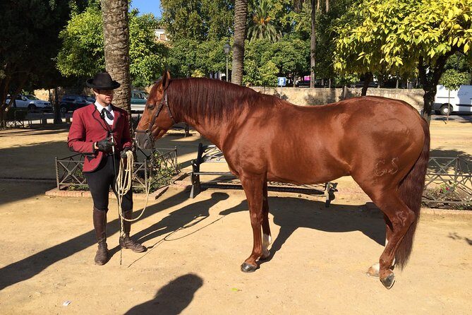 Cordoba Private Tour with Mosque Entrance from Seville - Final Thoughts