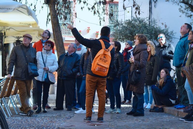 Córdoba: Private Walking Tour - Is This Tour for You?
