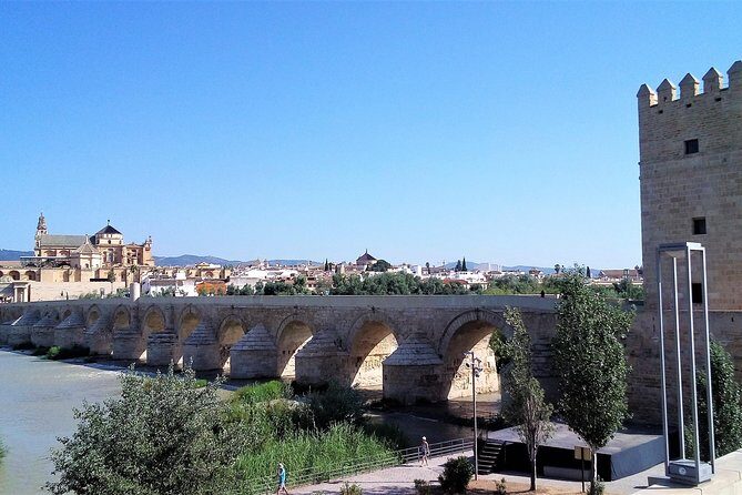 Cordoba Private Walking Tour - Who Should Consider This Tour?