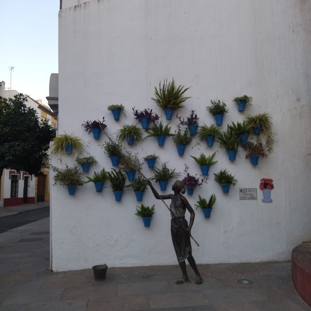 Córdoba: Running tour - Who Will Love This Tour?