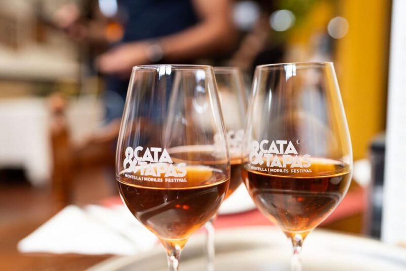 Cordoba: Tapas Bars Tour With Local Guide - Key Points