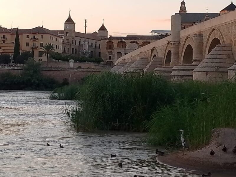 Córdoba: Tour of the three cultures to see the city in a day - Key Points