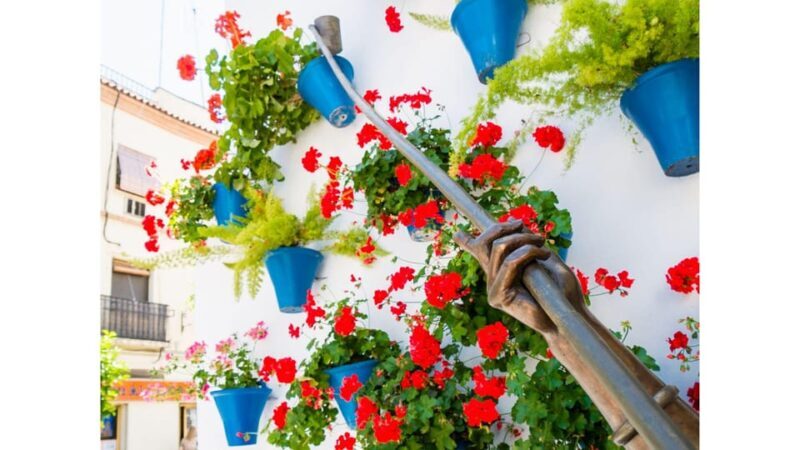 Cordoba's Authentic Patios: 2-Hour Tour with Tickets - Key Points