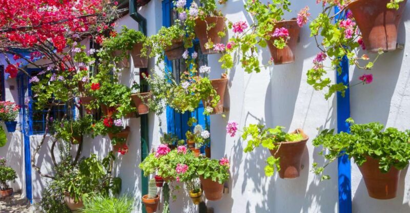 Cordoba's Authentic Patios: 2-Hour Tour with Tickets - A Deep Dive into the Tour Experience