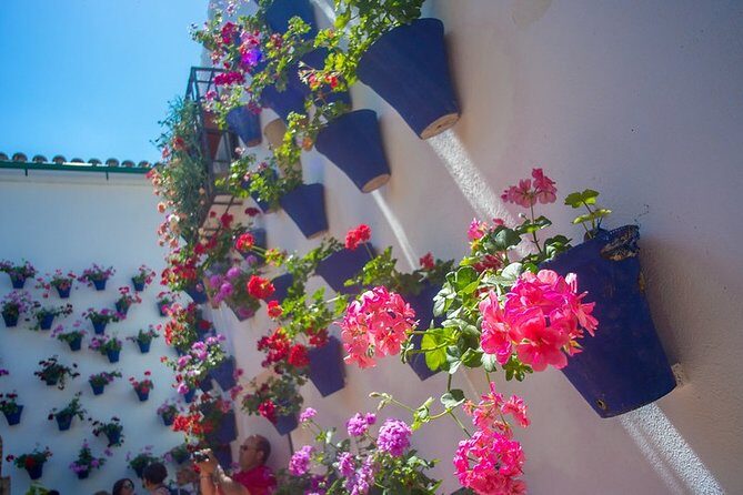 Cordoba's Authentic Patios: 2-Hour Tour with Tickets - In-Depth Review of the Cordoba Patios Tour