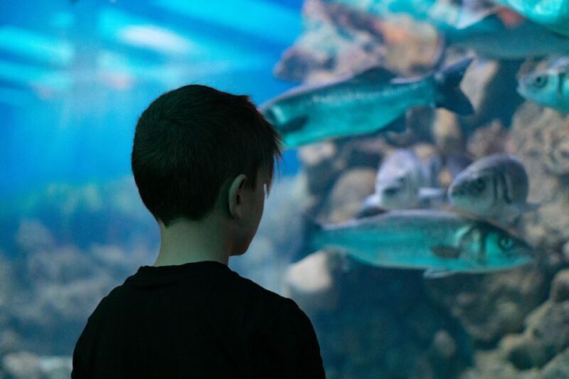 Corfu: Aquarium Entry Ticket with Guided Tour - An In-Depth Look at the Corfu Aquarium Tour