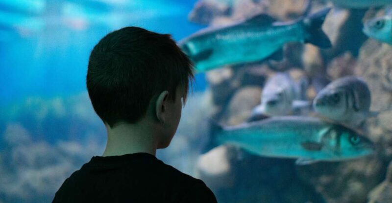 Corfu: Aquarium Entry Ticket with Guided Tour - Final Thoughts