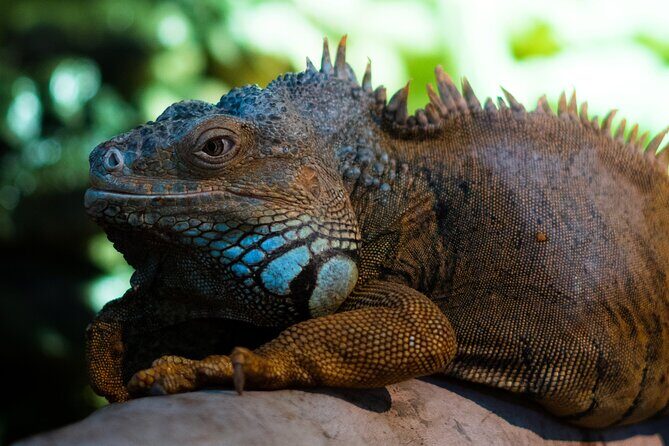 Corfu Aquarium Ticket with Tour Included - The Practical Details