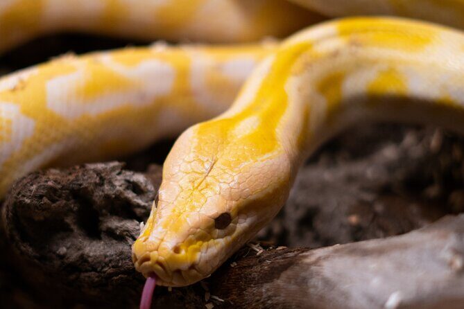 Corfu Aquarium Ticket with Tour Included - FAQ