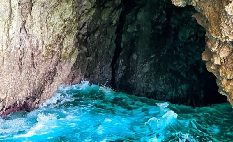 Corfu: Bus Trip & Swim to Paleokastritsa & Olive Oil Museum - The Sum Up