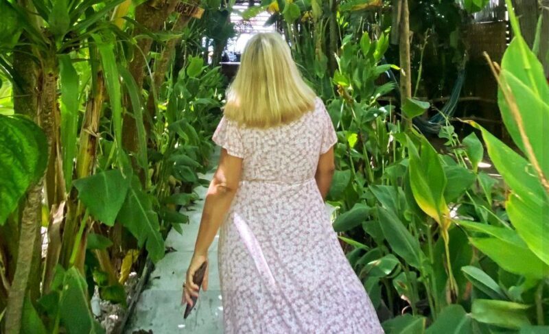 Corfu: Bus trip to Pontikonisi, Mon Repos Achilleion & Swim - Key Points