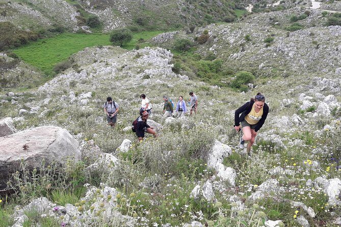 Corfu Countryside Hiking Tour - Authentic Experiences and Authenticity