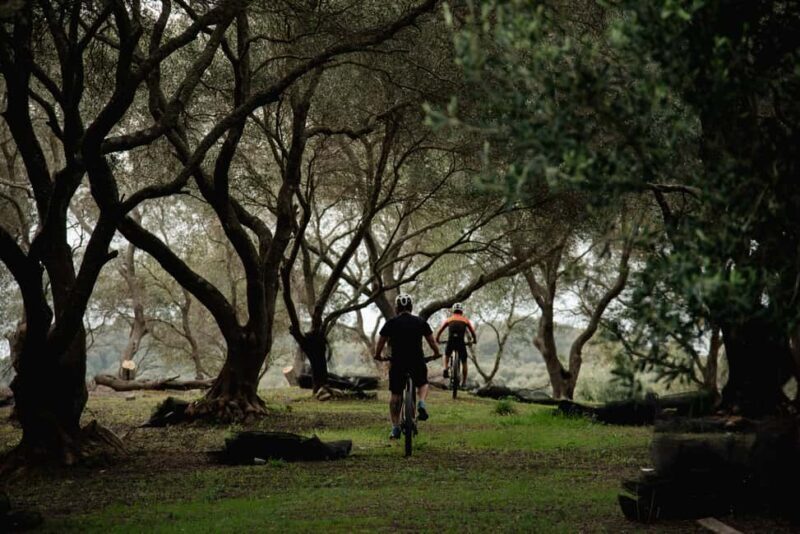 Corfu: E-Bike Tour with Olive Oil Tasting - An In-Depth Look at the Corfu E-Bike and Olive Oil Experience