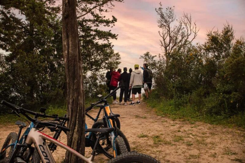 Corfu: E-Bike Tour with Olive Oil Tasting - Final Thoughts