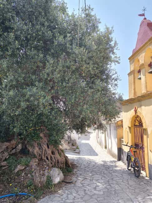 Corfu: E-Bike Tour with Wine Tasting and Winery Visit - Who Will Love This Tour?