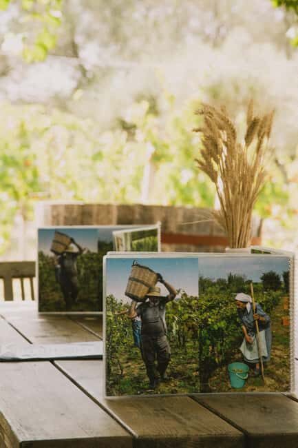 Corfu: E-Bike Tour with Wine Tasting and Winery Visit - Final Thoughts