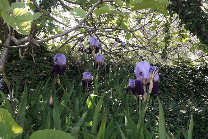 Corfu from Above: Hiking at the Highest Peak of Corfu - FAQ