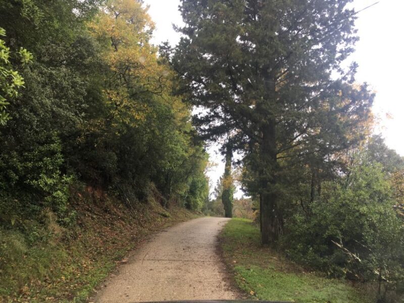 Corfu: Full Day Small-Group Trip with Lunch - Lunch in Chlomos Village