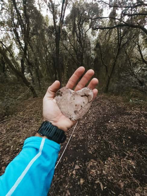 Corfu: Guided Hiking Tour of Arkoudilas Beach and Forests - Who Is This Tour Best For?