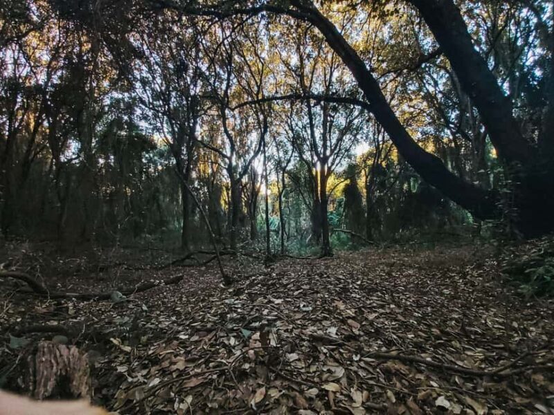 Corfu: Guided Hiking Tour of Arkoudilas Beach and Forests - Final Thoughts
