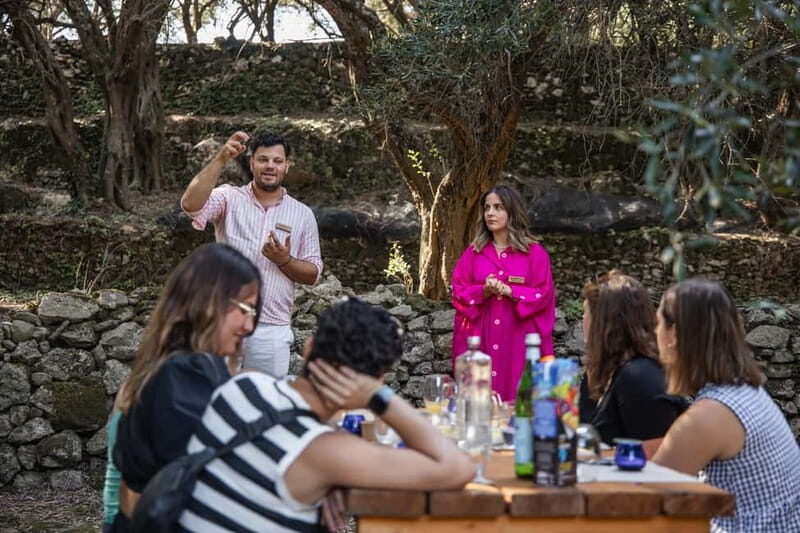 Corfu: Guided Olive Groves Tour with Olive Oil Tasting - Key Points