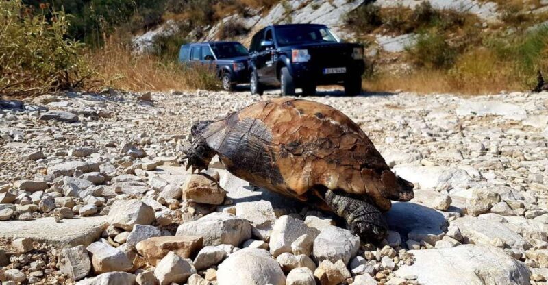 Corfu: Mount Pantokrator Shore Excursion - FAQ