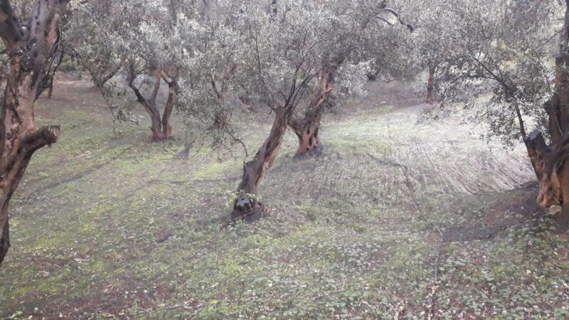 Corfu: Mountain Villages Private Tour - FAQ