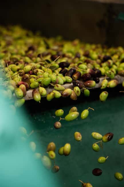 Corfu: Olive Oil and Kumquat Tasting Tour with Minivan - Key Points