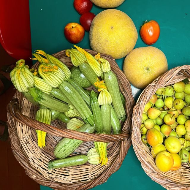 Corfu: Organic Olive Oil Farm Tour with Transfer and Tasting - The Sum Up