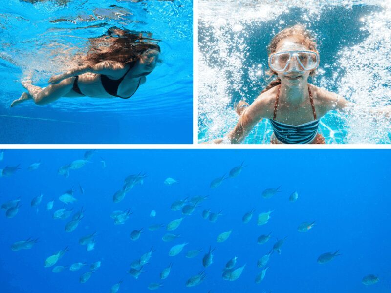 Corfu: Paxos Island Full-Day Cruise with Blue Caves - Final Thoughts