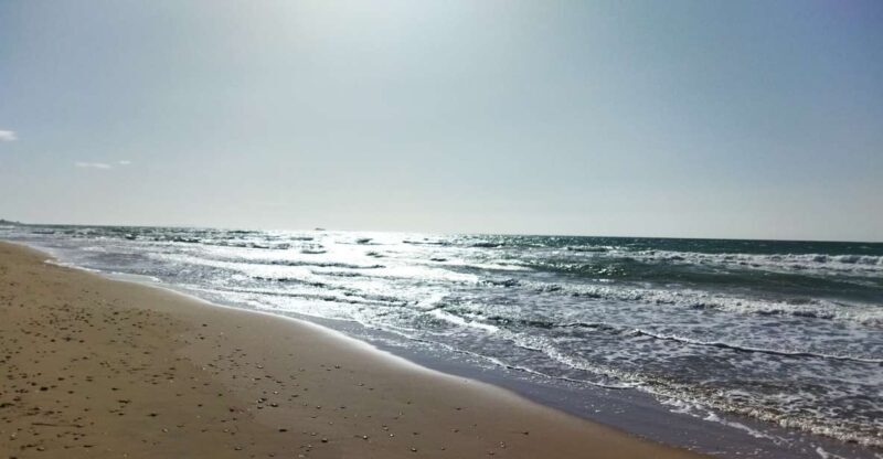 Corfu: Private Full-Day Northern Beaches Tour - FAQ