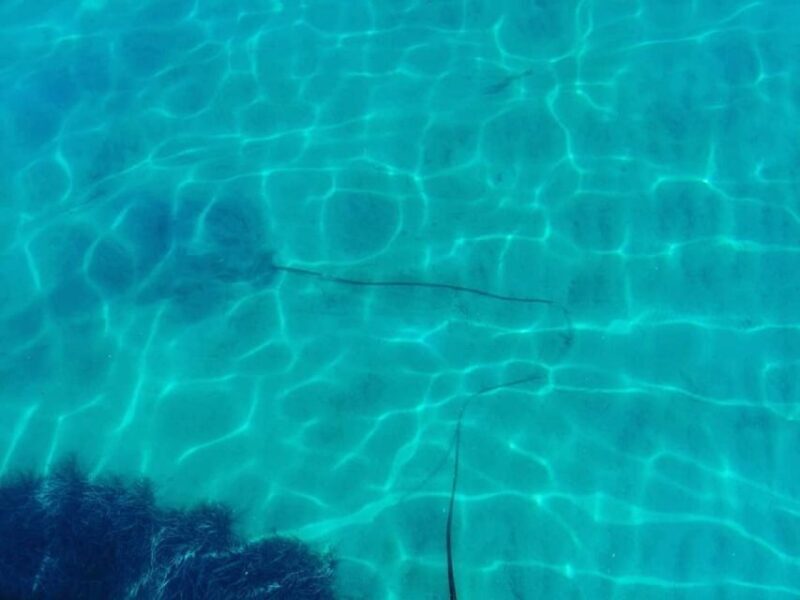 Corfu: Private Sailing Yacht Cruise - An In-Depth Look at the Corfu Private Sailing Yacht Cruise