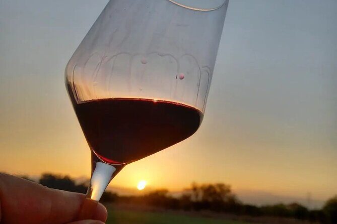 Corinth Winery Tour and Organic Fine Wine Tastings - What to Consider Before Booking