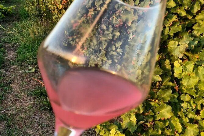 Corinth Winery Tour and Organic Fine Wine Tastings - Who Would Love This Experience?