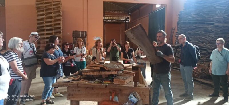 Cork Factory Tour - The Sum Up: Who Will Love This Experience?