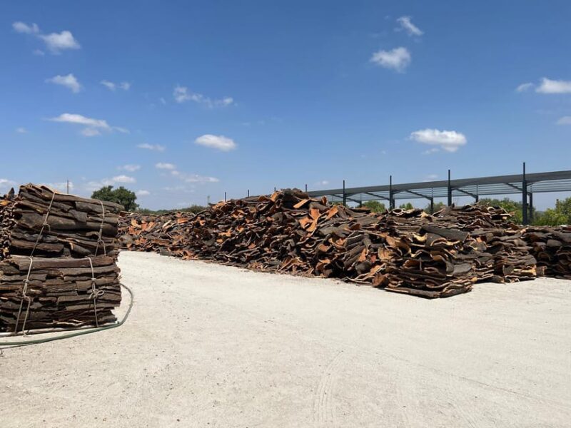 Cork Factory, Wine Tasting & Évora Visit - Who Would Love This Tour?