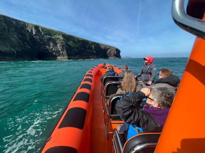 Cornwall: Guided Seal Safari by Boat - Final Thoughts